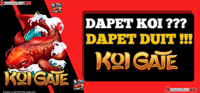 DAPET KOI ?? DAPET DUIT !!